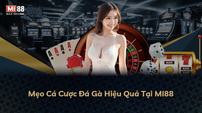 Mẹo Cá Cược Đá Gà Hiệu Quả Tại MI88